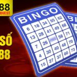 Xổ số VN88